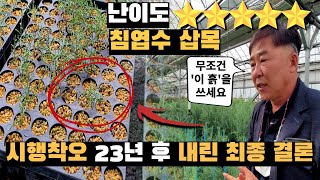 시행착오 23년 후 깨달은 침엽수 삽목성공 5가지 핵심