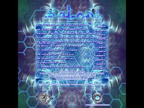 02 Aum Sector - In the near Future