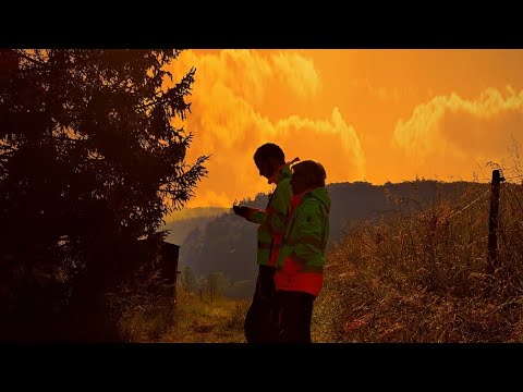 Suchhunde und Kitzrettung Adenau am Nürburgring e.V.