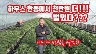 삼례농협 딸기공선회 하우스 토경(토양) 재배 동당 1천만원 소득이 증가한 농가의 깊은 노하우