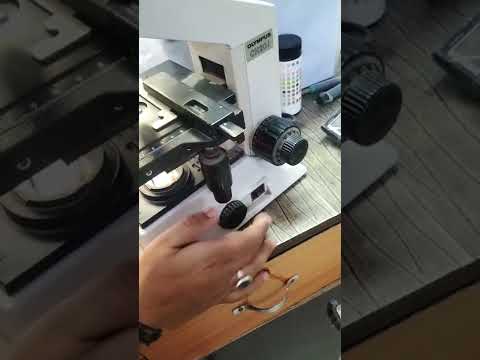 semen analysis!Microscopic examination sperms count sperm cell शुक्राणु परीक्षण 🔬