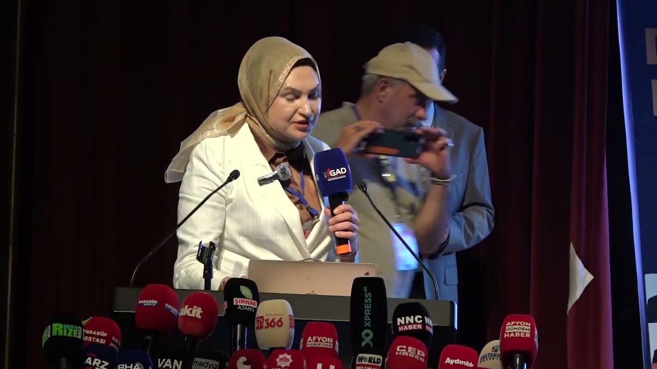 TV366