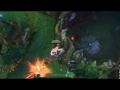 RRO PLAYER ASHE MONTAGE 1v9 XD
