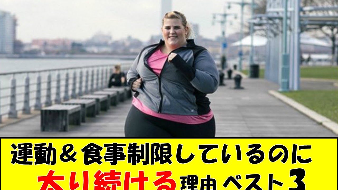 【作業用】あなたの脂肪が燃焼しない理由