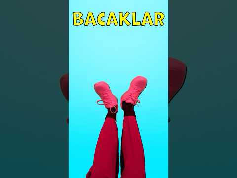 Hayvan Bölümlerini Öğrenelim! #çocuklar #öğren