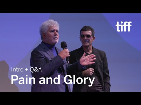 TIFF 2019 Cast and Crew Q&A