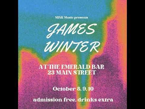 4. Not Real Reggae (Live) - James Winter