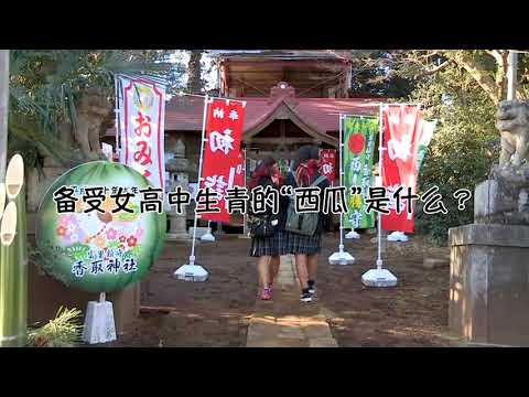 美味　愉快　富源的幺間（日本文化体験）