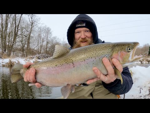 Fishing Small Creeks For Steelhead / Winter Steelhead Fishing With Jigs & Beads / Michigan Steelhead
