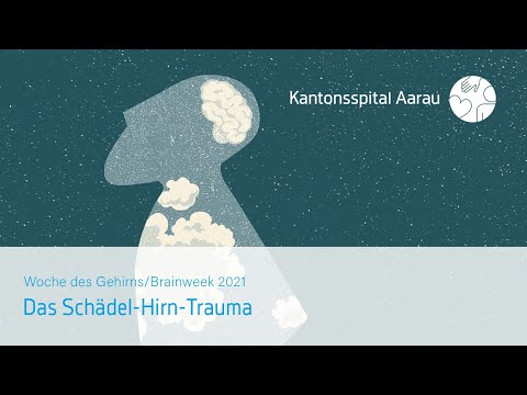 Das Schädel-Hirn-Trauma: Eine bildmorphologische Schadensbilanz