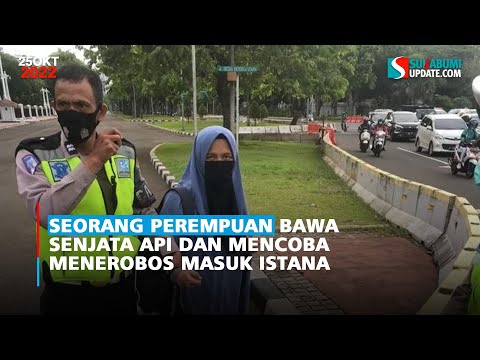 Viral Wanita Bercadar Terobos Masuk Istana Negara, Todongkan Pistol ke Paspampres