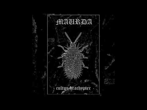 Maurda - 'Cultus Brachypter' (EP 2022)