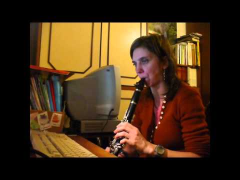 breve cover della musica Do You Want to Build a Snowman di Frozen con clarinetto