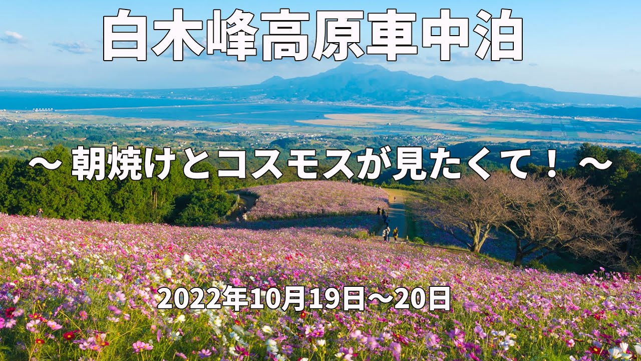 白木峰高原での満開コスモスと朝焼け日の出の車中泊YouTube動画