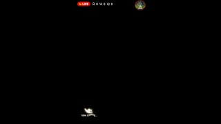 【生配信】うp主のスピバト実況プレイ#003！
