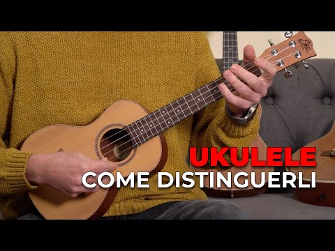 EKO Ukulele Soprano Student Giallo