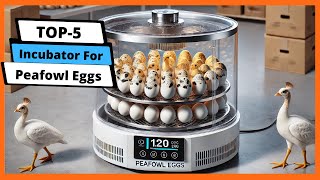 ✅ Best Incubator For Peafowl Eggs: Incubator For Peafowl Eggs (Buying Guide)
