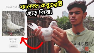 অনলাইনে কবুতর বিক্রি করুন ঘরে বসে | Sell ​​pigeon easily to online