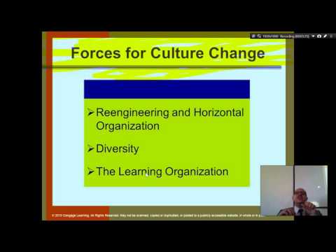 Organization Theory and Design Daft Chapter 1 Part 1 Introduction