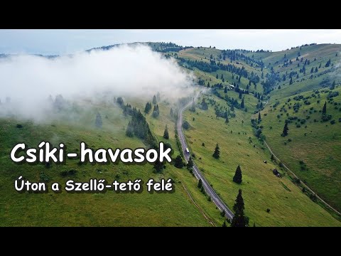 Erdélyben, Székelyföldön a Csíki-havasokban kirándultunk a Szellő-tető felé.
