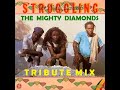 The Mighty Diamonds Tribute Mix