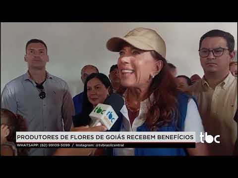 Jornal Brasil Central |11-03-26| Produtores de Flores de Goiás recebem Benefícios
