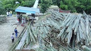 Bamboo Paper Production Plant. Amazing Bamboo Products Manufacturing Process. How To Make Chopstick