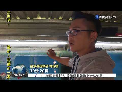 棄33K公職養金魚 男月賺10萬