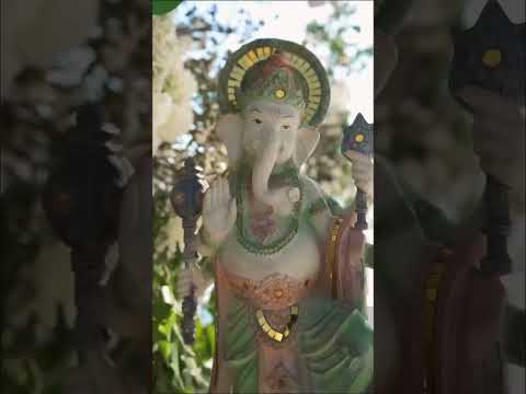 Kazel and Chintan's South Asian Destination Wedding Ceremony at Grand Palladium Costa Mujeres