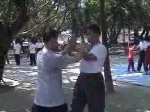 Master Wang Chieh, Push Hands Practice, Taiwan