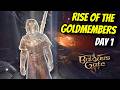 Rise Of The Goldmembers Lonewolf Playthrough Day 1 Honour Ruleset Baldur S Gate 3