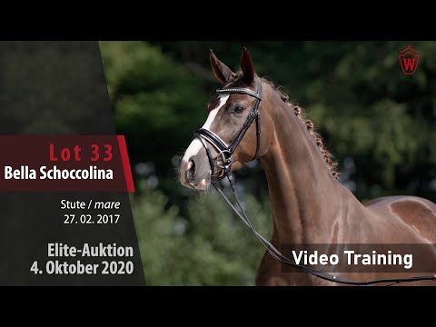Elite-Auktion 4. Oktober 2020 Lot 33 Bella Schoccolina v. Benicio/Fidertanz – Trainingsvideo