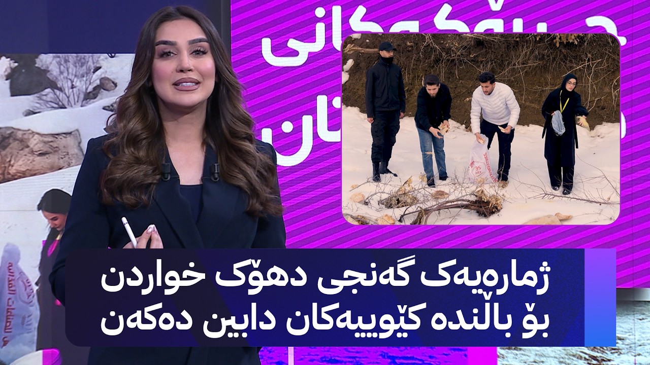 ڤیدیۆ | ژمارەیەک گەنجی دهۆک خواردن بۆ باڵندە کێوییەکان دابین دەکەن