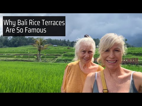 Exploring The Heart Of BALI At Jatiluwih Rice Fields