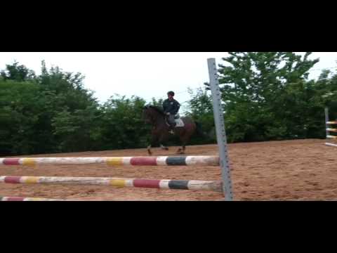 TRENTON Z X LOCATO - SALTANDO ...