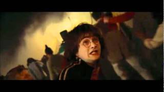 Harry Potter - See you in Hell (Suicide commando)