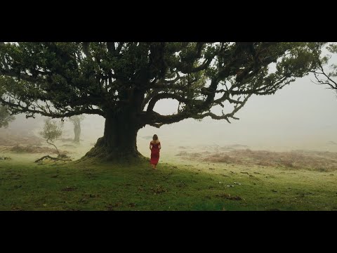 Ralphie B & Generdyn ft. Krigarè - Destiny