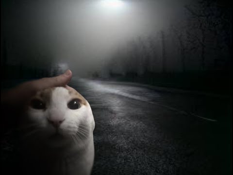 Silent hill 2 menu sounds with cats [original]