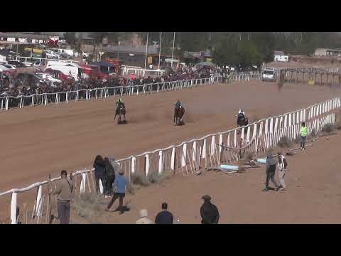 ADRIANITO - Club Hípico Viento Sur Cutral Co. 12-12-21