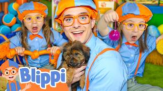 Blippi Learns to Care for Puppies! 🐾