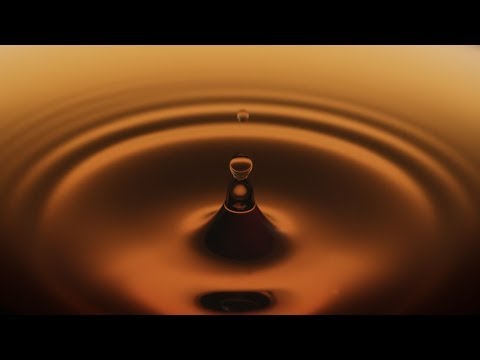 Dalmore - The Paterson Collection