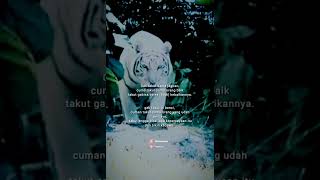 Download lagu story wa macan putih terbaru 2022 #shorts #status #attitude #attitudestatus mp3 Download lagu story wa macan putih terbaru 2022 #shorts #status #attitude #attitudestatus mp3