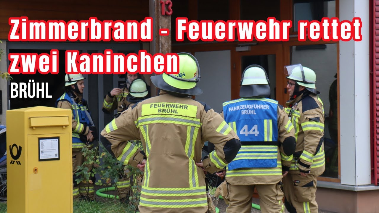 Feuer in Dachgeschosswohnung: Bewohnerin verletzt – Kaninchen von Feuerwehr gerettet