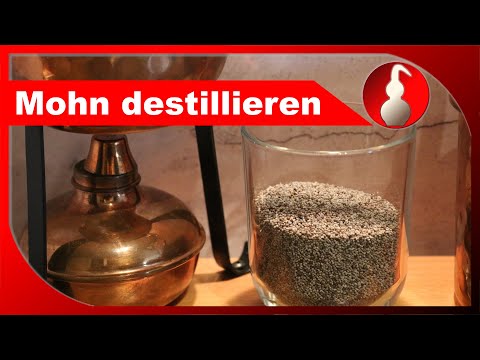 Mohn destillieren - ILLEGAL? erhalten wir Aroma-Wasser? - diSTILLed