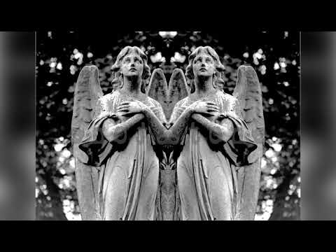 Myuu - Reversion 2015