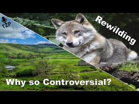 My Issues with Rewilding