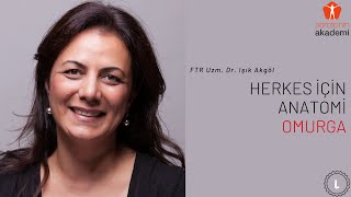 Herkes İçin Anatomi - Omurga