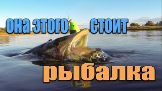 Ловля щуки в ставропольском крае места