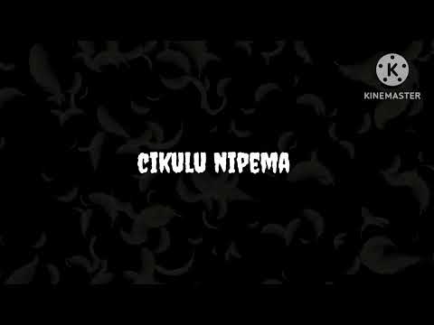 Dre zm ft T  Sean - No Vundu ( Lyrics video)