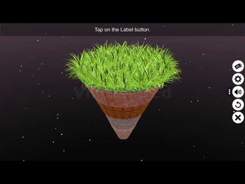 Soil Profile